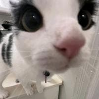 TikTok Account - imnotesth3r