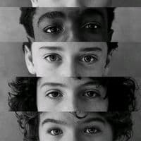 TikTok Account - fan_strangerthing900