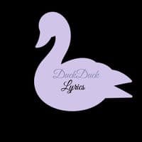 TikTok Account - duckducklyrics