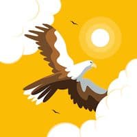 TikTok Account - nina.sky17