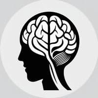 TikTok Account - orlandmcbo