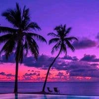 TikTok Account - l.music21