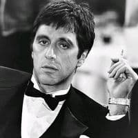 TikTok Account - soylizoliveirareal