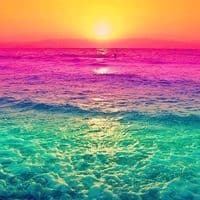 TikTok Account - par.param