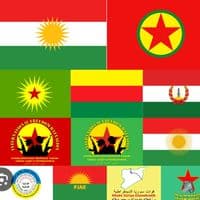 TikTok Account - the_mysterzyed445