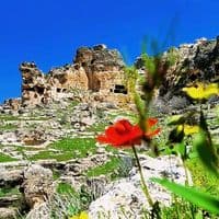 TikTok Account - sterka_farkinee