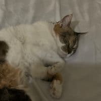 TikTok Account - _n0tmx23