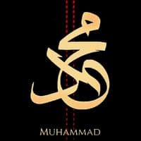 TikTok Account - m7md__buomi