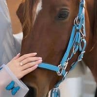 TikTok Account - sarah84751_