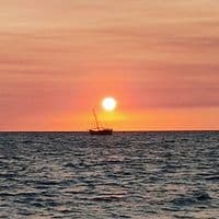 TikTok Account - romalcancv19