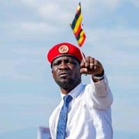 TikTok Account - solidmedia256