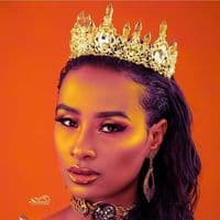 TikTok Account - missworld1219