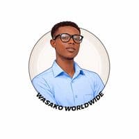 TikTok Account - wasako_lyrics