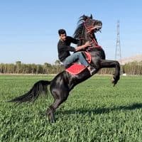 TikTok Account - zaher.araji