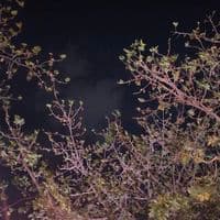 TikTok Account - vl.fz3