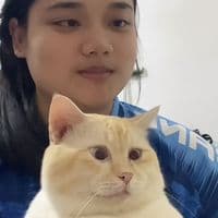 TikTok Account - tony030266