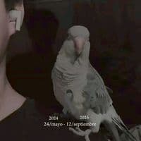 TikTok Account - mr.palito.r2