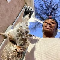 TikTok Account - afrowave21