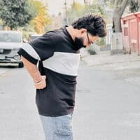 TikTok Account - ch.raveedrajpoot2