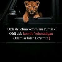 TikTok Account - mardonov_550