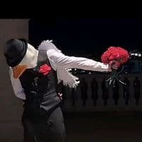 TikTok Account - usernodisponible277