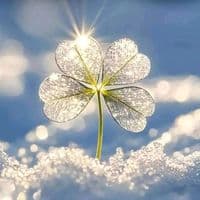 TikTok Account - mylyhuuh