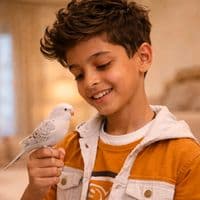 TikTok Account - hamoudi..070