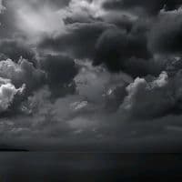 TikTok Account - officialtraxvisualz