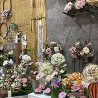 TikTok Account - e093013