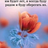 TikTok Account - zvizdastar