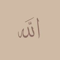 TikTok Account - quran___com