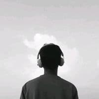 TikTok Account - shani.writes_