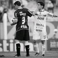 TikTok Account - freitashw