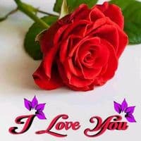 TikTok Account - sajushekh5