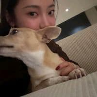 TikTok Account - meiixzyy_