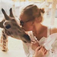 TikTok Account - misskulikova