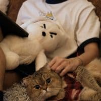 TikTok Account - oniiiiiic_