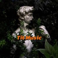 TikTok Account - tit_music