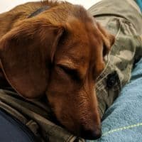 TikTok Account - alex.now453