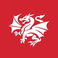 TikTok Account - sgidragons