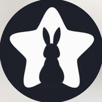 TikTok Account - rabbitstar.peru