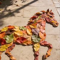 TikTok Account - user6697852230118