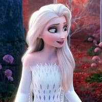 TikTok Account - frozen_20138