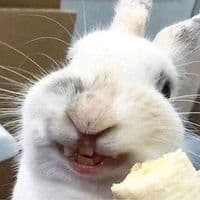 TikTok Account - nemuieiei3