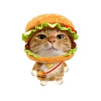 TikTok Account - zaw.naing.tun.official.1