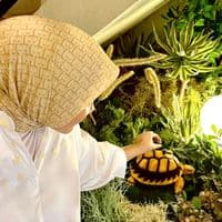 TikTok Account - peachycloudsy