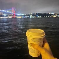 TikTok Account - lului.al