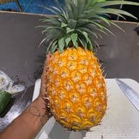 TikTok Account - thechorequeen