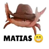 TikTok Account - holasoyunramdom7