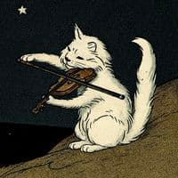 TikTok Account - singl.musicv